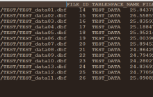 Oracle表空间数据库文件收缩