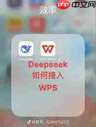 DeepSeek如何顺利接入WPS