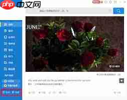 金山词霸屏幕取词教程