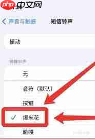 iPhone手机如何开启短信提示音