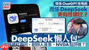 deepseek有哪些实际应用
