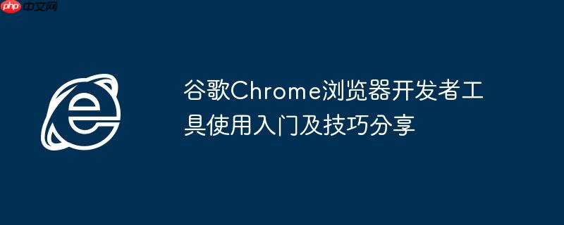 谷歌Chrome浏览器开发者工具使用入门及技巧分享