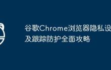 谷歌Chrome瀏覽器隱私設(shè)置及跟蹤防護(hù)全面攻略