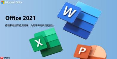 MicrosoftOffice安装后软件运行缓慢怎么优化​