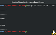 如何从Linux命令行直接执行MySQL/MariaDB查询