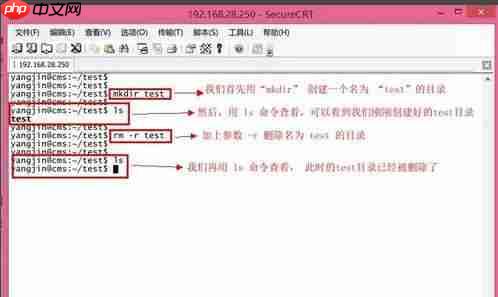 如何linux删除文件夹,linux删除文件夹,教您电脑的linux怎么样删除文件夹