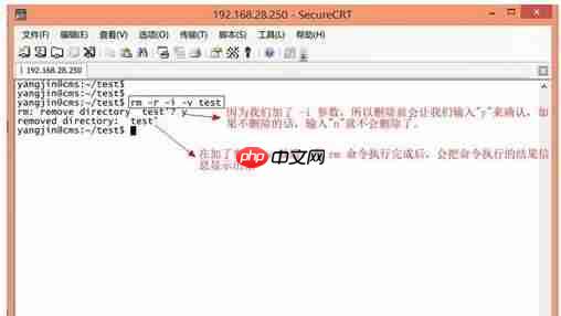 如何linux删除文件夹,linux删除文件夹,教您电脑的linux怎么样删除文件夹