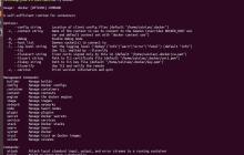 菜鸟入门Docker[通俗易懂]