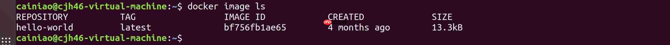 菜鸟入门Docker[通俗易懂]