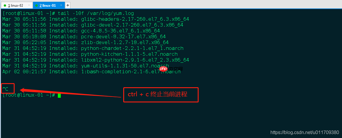 学习笔记0402----shell基础知识