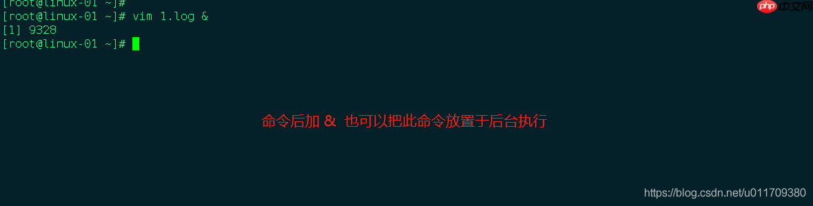 学习笔记0402----shell基础知识