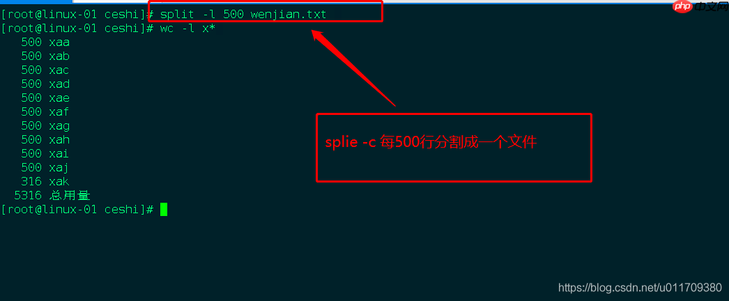 学习笔记0402----shell基础知识