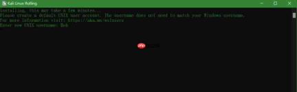 双系统系列:WSL2-适用于 Linux 的 Windows 子系统(安装)