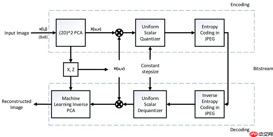 DSCT:一种数据驱动的图像编码框架