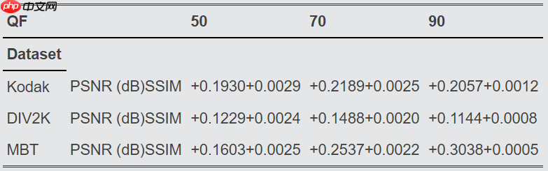 DSCT:一种数据驱动的图像编码框架