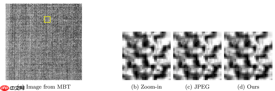 DSCT:一种数据驱动的图像编码框架