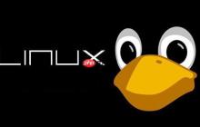 Linux 目录结构及详细操作