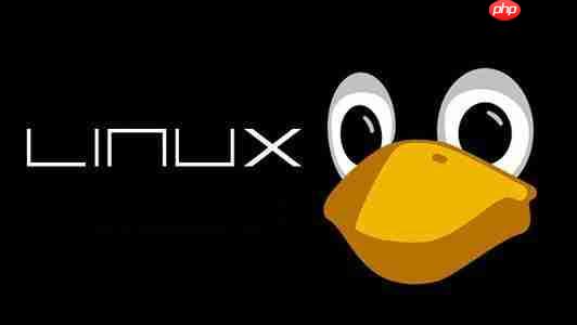 Linux 目录结构及详细操作