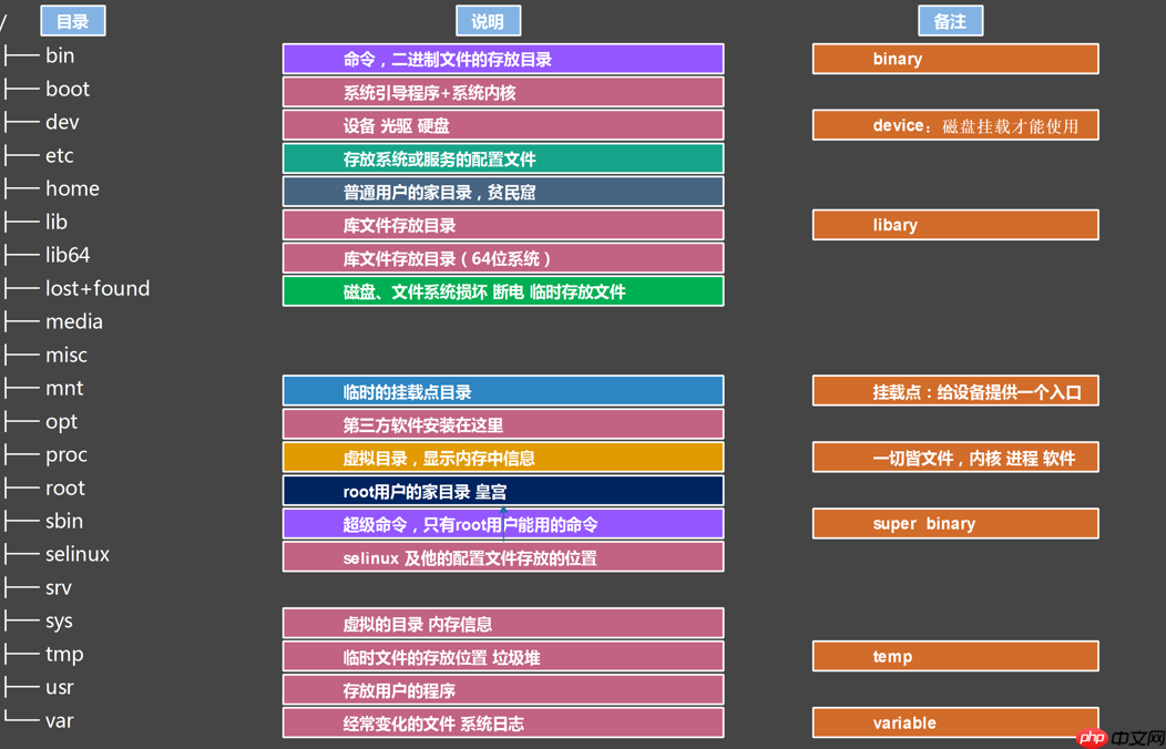 Linux 目录结构及详细操作