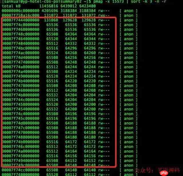唉，一次堆外内存泄露让整个团队通宵处理到爆肝！