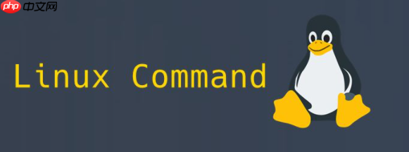 嵌入式Linux开发-根文件系统本地挂载