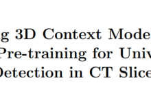 MICCAI 2020 | 基于3D监督预训练的全身病灶检测SOTA（预训练代码和模型已公开）