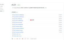 go 语言版本控制器