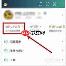 如何关闭爱奇艺VIP自动续费