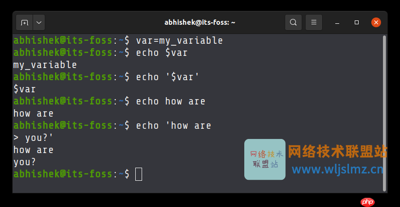 Bash Shell 中单引号和双引号的区别