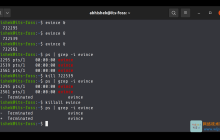 在 Linux 中如何强制停止进程？kill 和 killall 命令有什么区别？