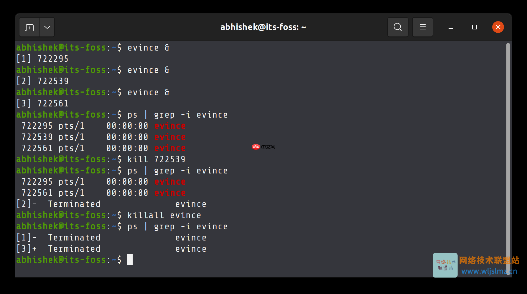 在 Linux 中如何强制停止进程？kill 和 killall 命令有什么区别？