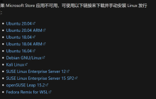 双系统系列：WSL2-更换Linux安装路径