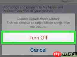 如何在Mac电脑上禁用iCloud音乐库