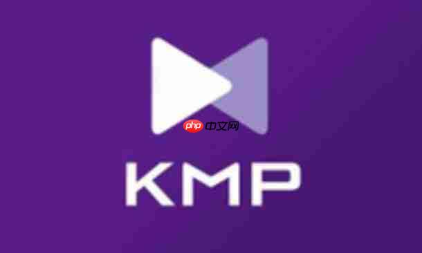 kmplayer怎么设置音频变换？-kmplayer设置音频变换的方法