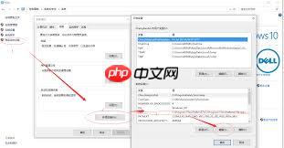 Python如何设置环境变量