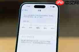 如何设置iPhone电池充电至80%