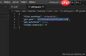 vscode如何设置git账号密码