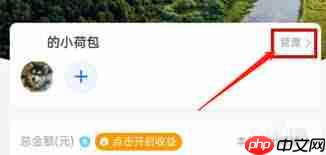 支付宝小荷包如何调整使用额度