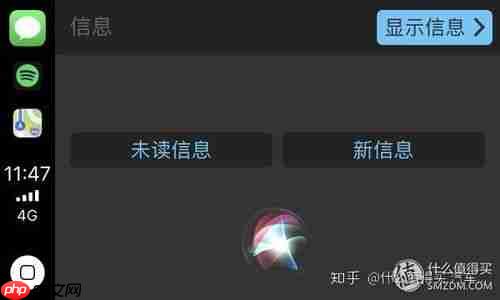 嘿Siri无法识别说话持续一小时怎么办