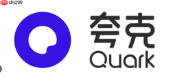 夸克APP手机浏览器支持哪些插件扩展,安装使用指南?