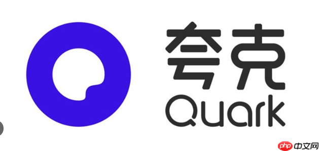夸克APP手机端支持哪些格式的文件直接打开和预览？