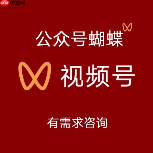 零基础也能上热门？蝴蝶号内容运营与涨粉逻辑全公开