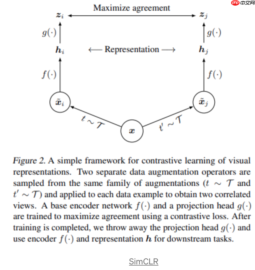 一文看清这些年自监督和无监督的进展