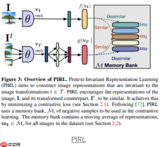 一文看清这些年自监督和无监督的进展