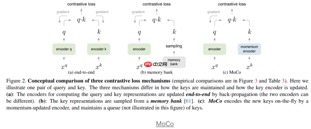 一文看清这些年自监督和无监督的进展