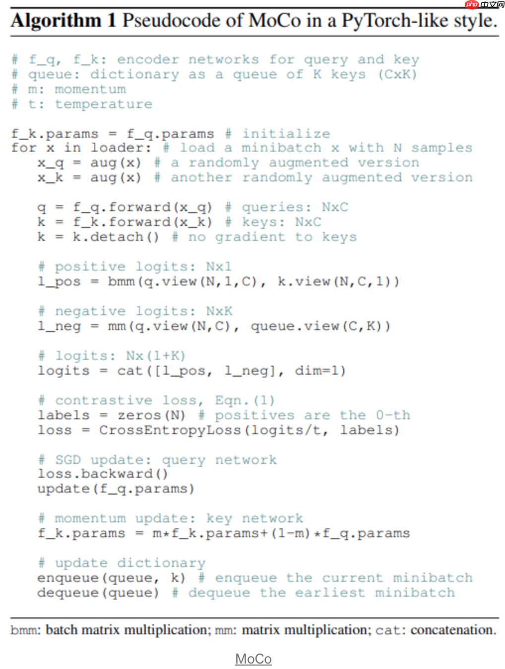 一文看清这些年自监督和无监督的进展