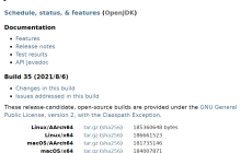 JDK/Java 17 马上来袭，看看带来哪些新特性？