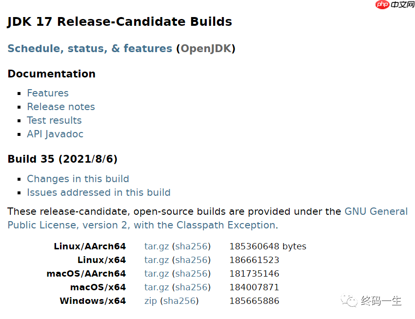 JDK/Java 17 马上来袭，看看带来哪些新特性？