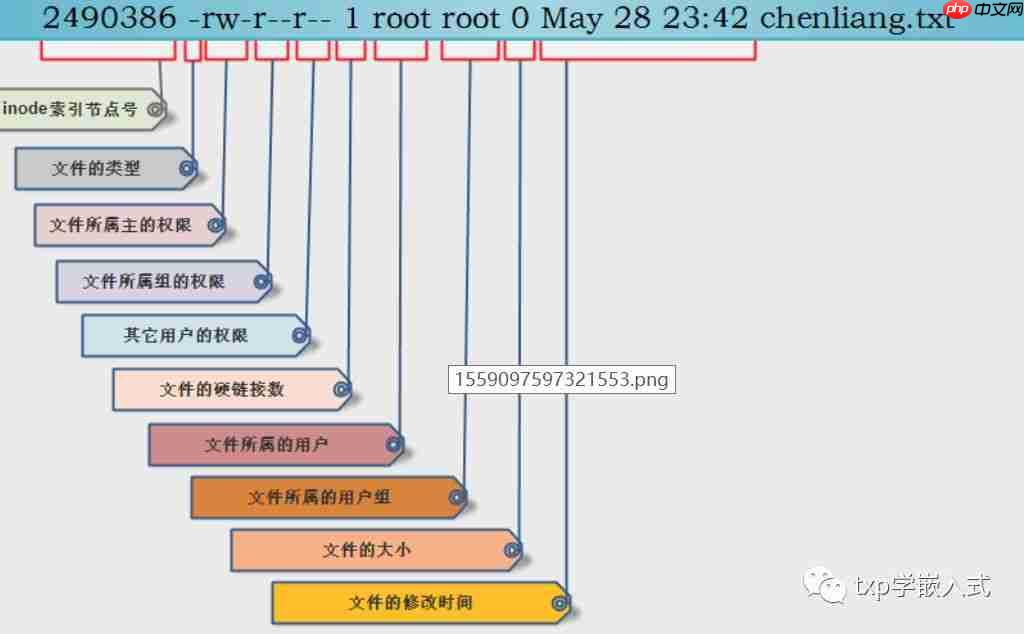 Linux系统中文件属性和权限实战操作