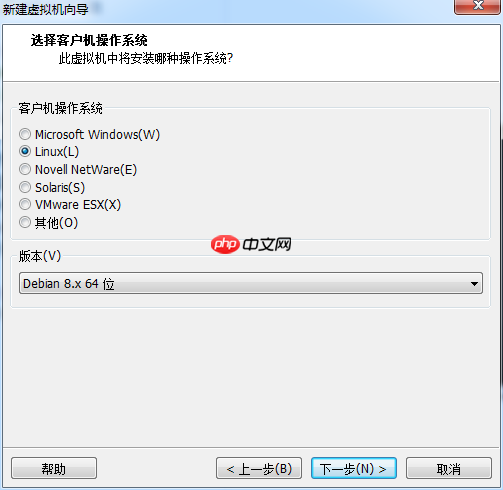 Kali安装教程（VMWare）